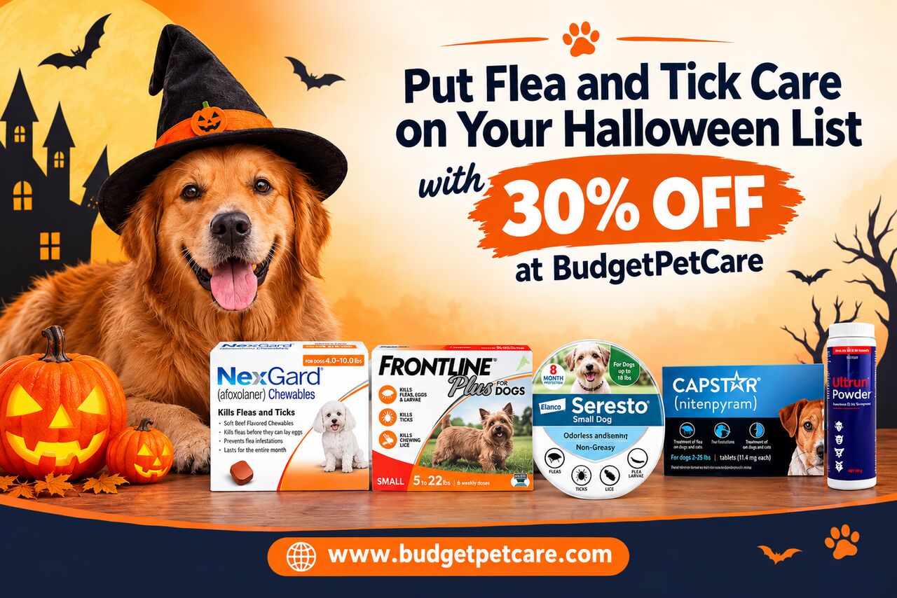New York, Pet Supplies, Put Flea And Tick Care On Your Halloween List With 30% OFF At BudgetPetCare