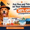 Put Flea And Tick Care On Your Halloween List With 30% OFF At BudgetPetCare
