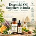 INR 999,  Best Essential Oil Suppliers In India | Moksha Aromatics