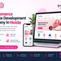 E-Commerce Website Development Company In Noida | Thixpro