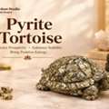 Shop Pyrite Tortoise Online At Best Price | The Stardust Studio