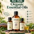 USD 151,  Buy Organic Essential Oils In Bulk | Moksha Lifestyle