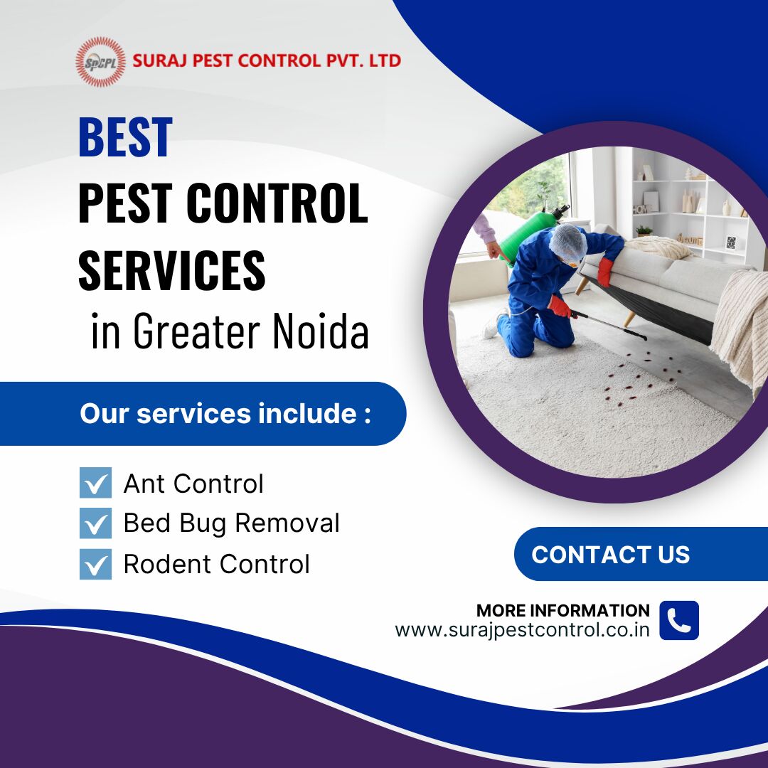 Greater Noida, Pest Control, Same-Day Pest Control Services In Greater Noida