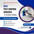 Same-Day Pest Control Services In Greater Noida