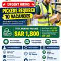 Q Mart &ndash; Picker Positions (10 Vacancies)