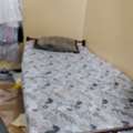 SAR 500/month,  Bed Space In Bachelor Apartment For Rent