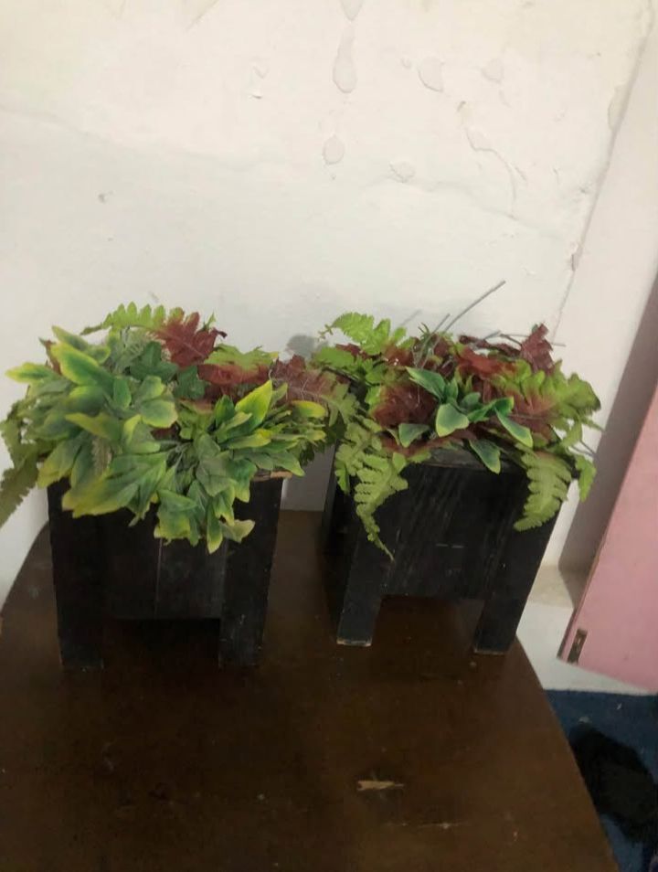 Hara, Furniture, SAR 5,  Decoration Plants Artificial