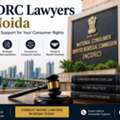How Can NCDRC Lawyers In Noida Help Consumer Disputes?