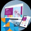 Looking For A Professional Web Design Company In Chennai?