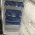 SAR 600,  Big Refrigerator Or Fridge For Sale Urgent