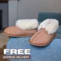 GBP 65,  Bonfire Night | Free Express Delivery | Code: EXPRESS26