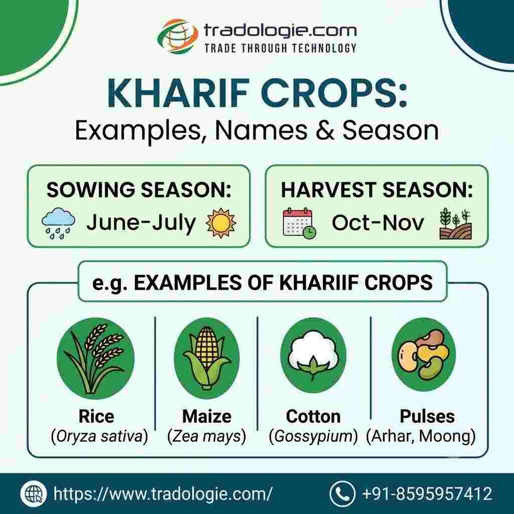 Lucknow, Food, INR 25,  Kharif Crops List: Examples, Names & Season | Tradologie