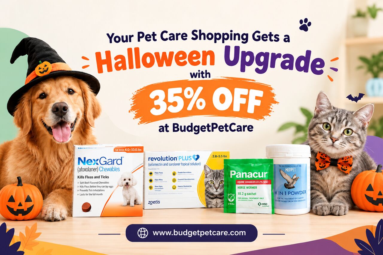 New York, Pet Supplies, Your Pet Care Shopping Gets A Halloween Upgrade With 35% OFF At BudgetPetCare