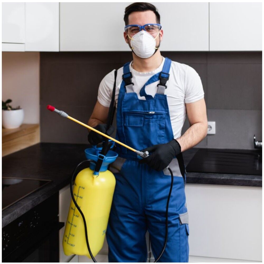 Gurgaon, Pest Control, Godrej Pest Control Gurgaon | Reliable Pest Management Services