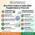 INR 25,  Rice Price Today In India 2026: Punjab Rates & Price List | Tradologie