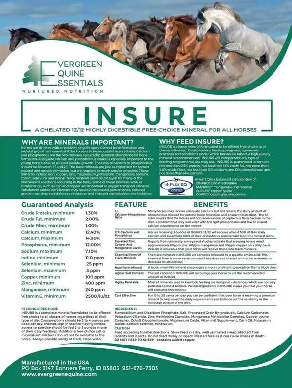 New York, Business, Best Bone Supplement For Horses | Chelated 12-12 Mineral - EverGreen Equine