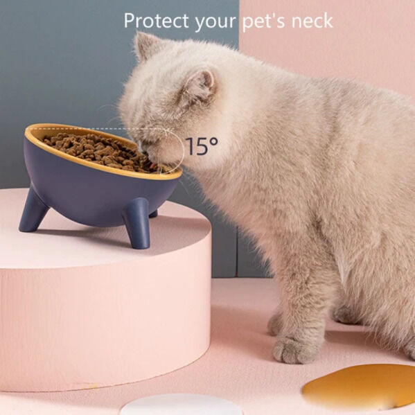 New York, Business, Buy Cat Bowls & Stainless Steel Cat Food Bowls Online
