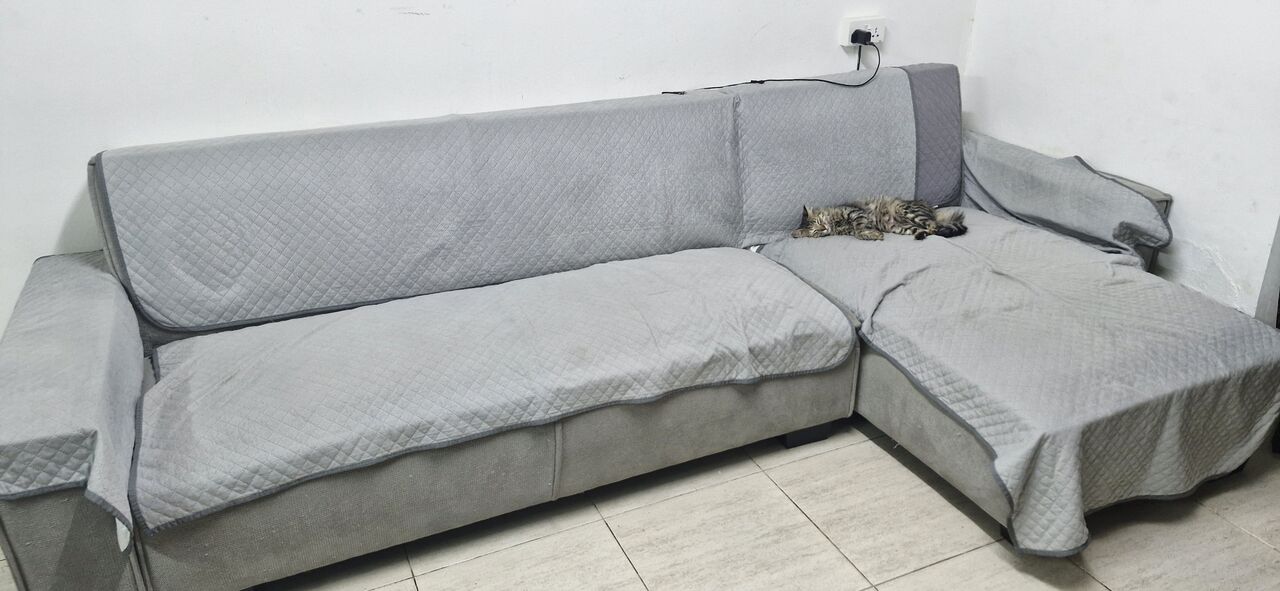 Khobar, Furniture, SAR 1800,  Selling Sofa Cum Bed From Homebox,
