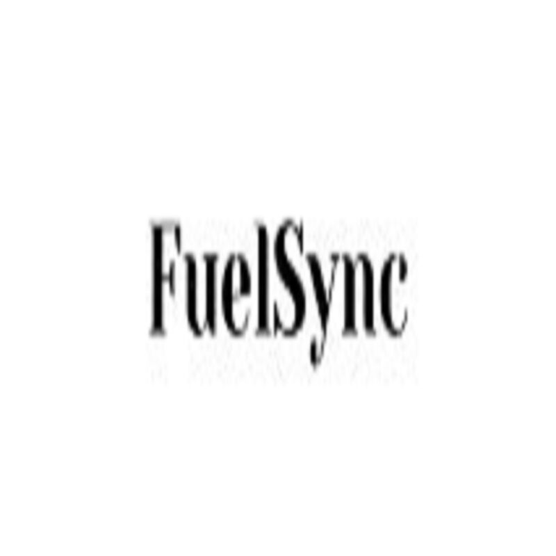 New York, Business, Fuelsync Gas Saver