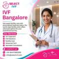 IVF Bangalore