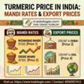 INR 25,  Turmeric Price In India: Mandi Rates & Export Prices | Tradologie