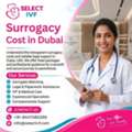 Surrogacy Cost In Dubai