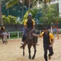 Horse Riding Classes In Bangalore