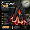 Charcoal Fuel Solutions For Growing Businesses