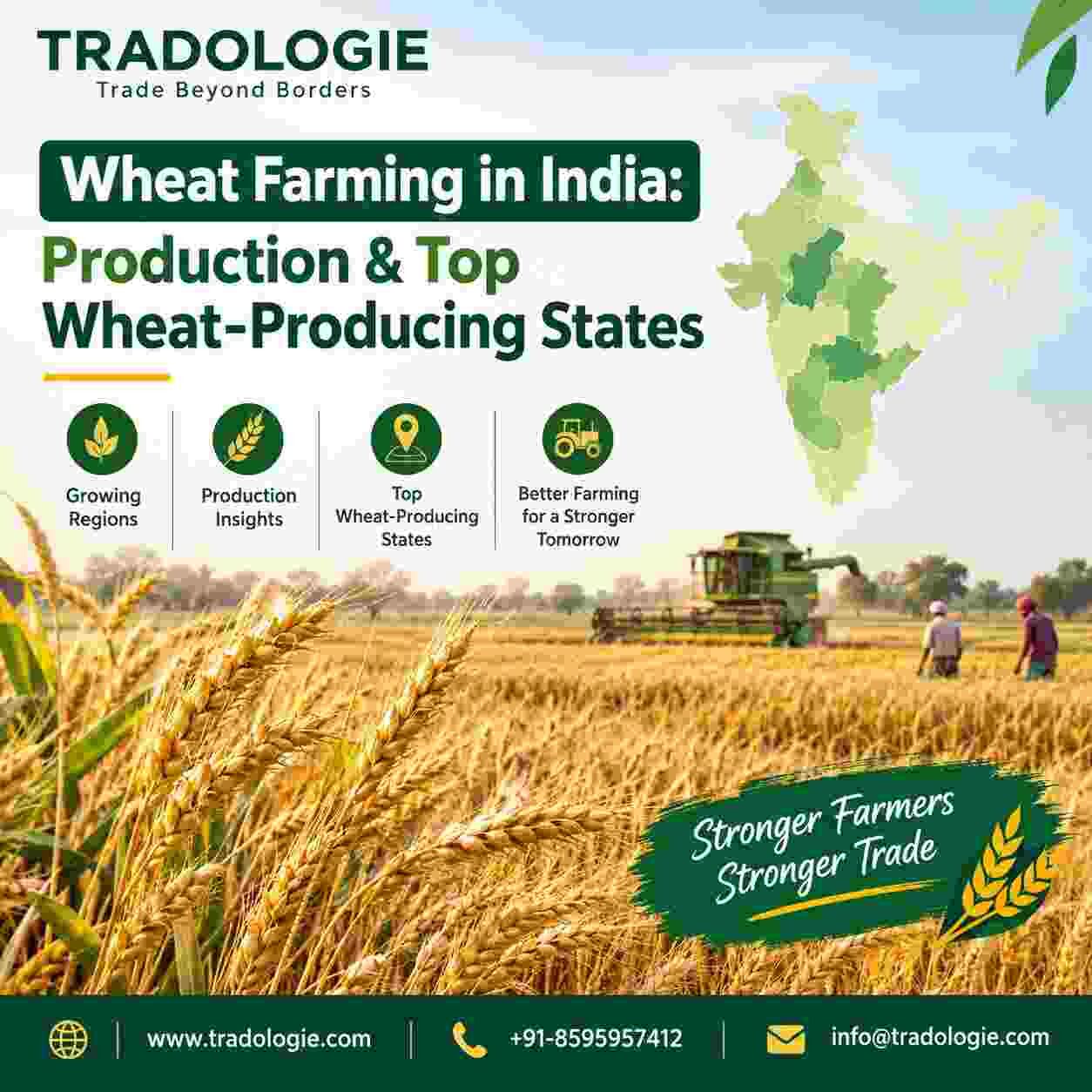 Lucknow, Food, INR 25,  Wheat Farming In India: Production & Top Wheat-Producing States | Tradologie