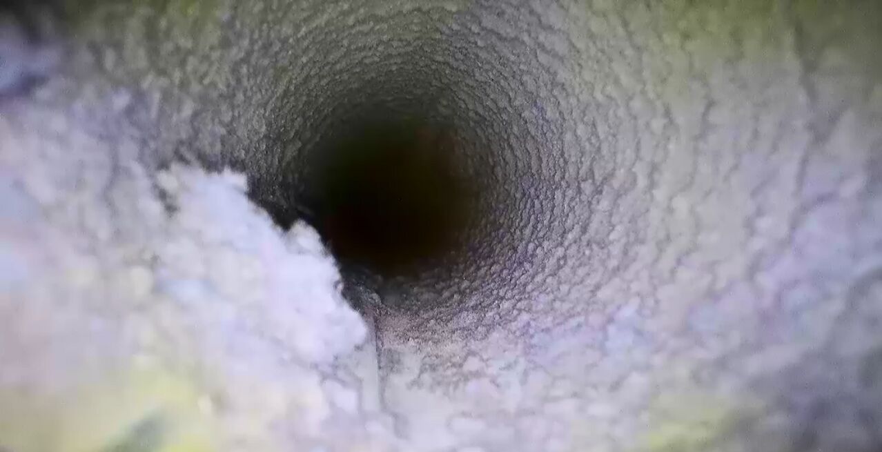 New York, Business, Loyalty Dryer Vent Services