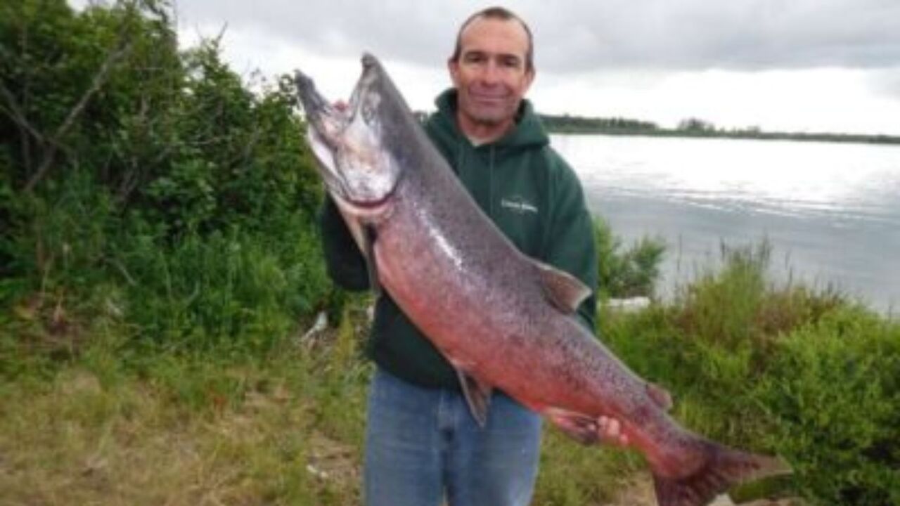 New York, Business, Bristol Bay Fishing Trips