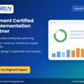 Pigment FP&A And Revenue Planning Implementation Services