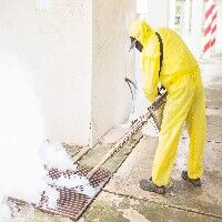 New York, Business, Mold Testing In Annapolis, MD | Professional Mold Inspection