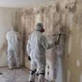 What Causes Mold To Grow In Homes After Water Damage?