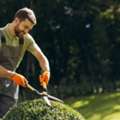 Why Is Your Grass Turning Brown? Common Causes And Solutions