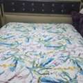 SAR 500,  King Size Bed  Wooden + Iron Foldable King Size Bed