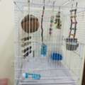 SAR 300,  White New Cage