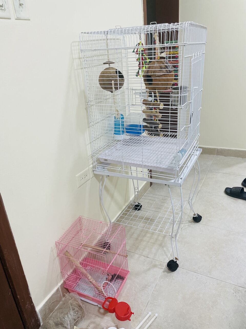 Khobar, Furniture, SAR 300,  White New Cage