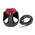 Cat Harness And Leash | Dog Harness & Dog Friendly Harness