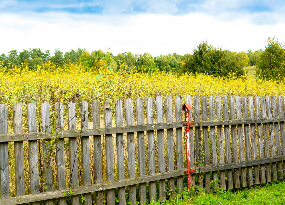 New York, Business, Restore Your Property With A Reliable Fence Repair Contractor