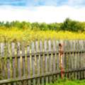 Restore Your Property With A Reliable Fence Repair Contractor