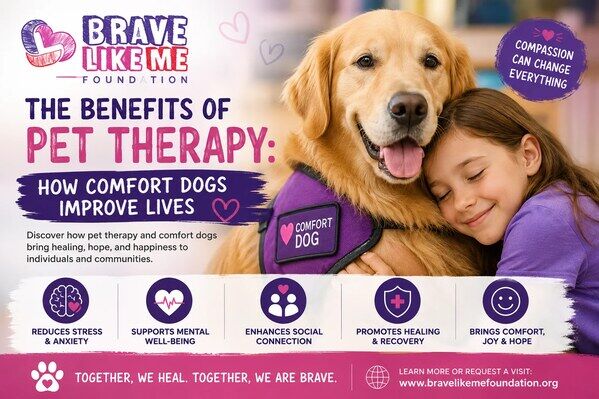 New York, Business, Pet Therapy & Comfort Dogs: Benefits For Emotional Wellness