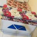 SAR 250,  Bed