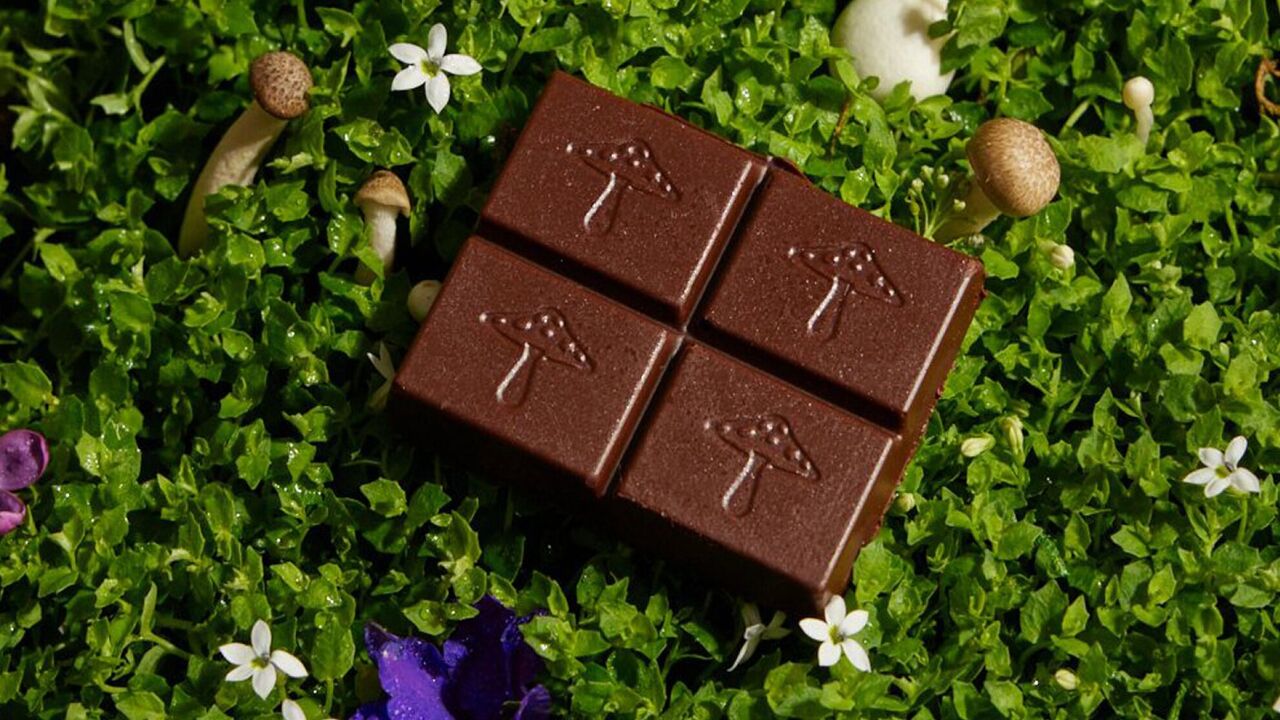 New York, Health, Best Websites To Buy Mushroom Chocolate Bar