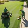 How Can Proper Lawn Care Keep Your Yard Healthy?