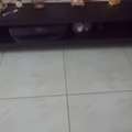 SAR 80,  TV Table