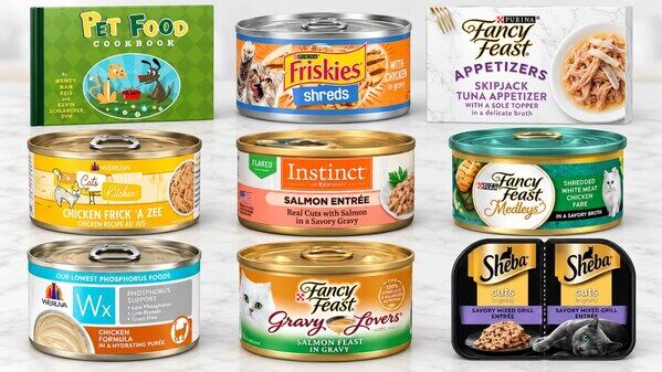 New York, Business, Wet Cat Food Guide: Best Nutrition For Kittens &ndash; FluffPortal
