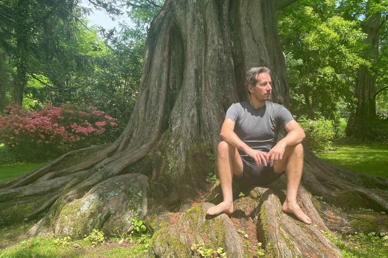 New York, Health, Metamorphosis Coaching For Lasting Personal Transformation